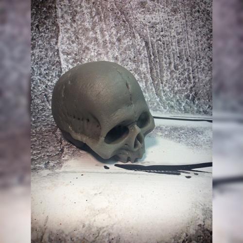 Medium Skull