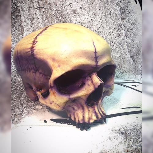 Human Skull