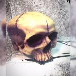Human Skull