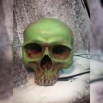 Human Skull
